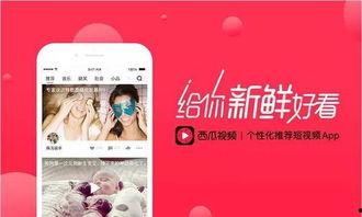 西瓜视频爆料小笙歌,小笙歌新动态,精彩内容抢先看 第3张 西瓜视频爆料小笙歌,小笙歌新动态,精彩内容抢先看 第3张
